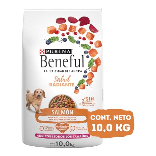 Purina Beneful Adulto Todos los tamaños Salud Radiante Sabor Salmón 10Kg