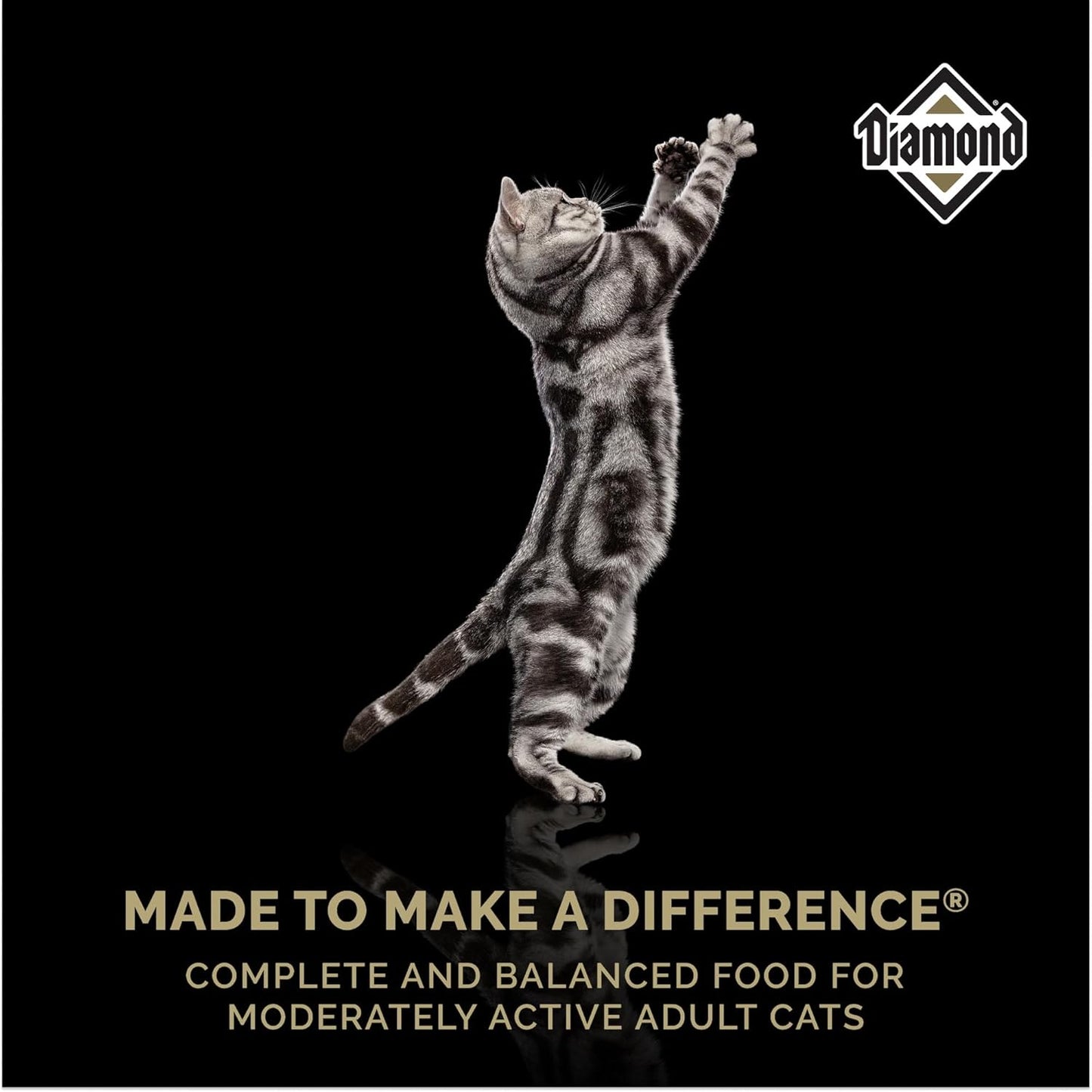 Diamond Maintenance Cat