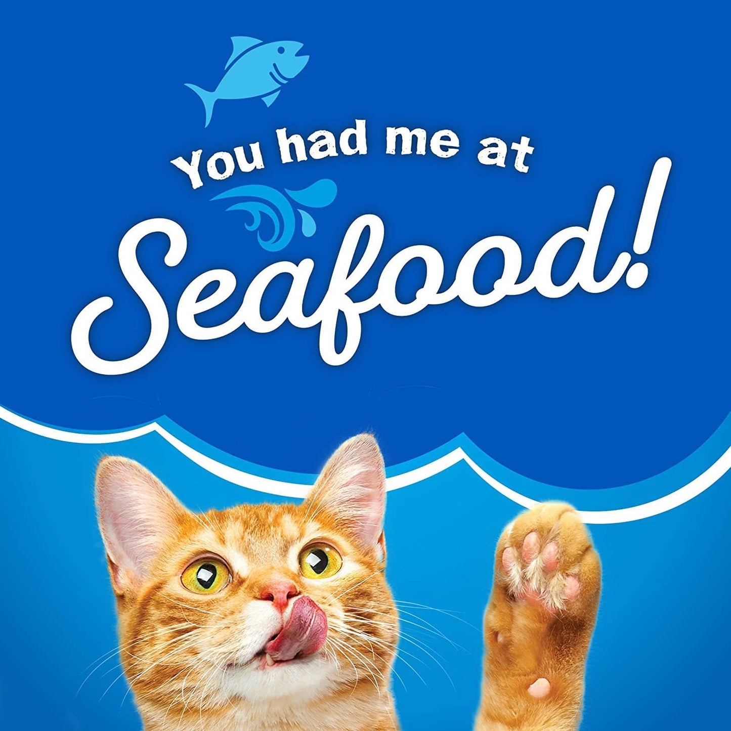 Friskies Purina Seafood Sensations Dry Cat Food, 3.15 LB. Bag (Pack of 2)