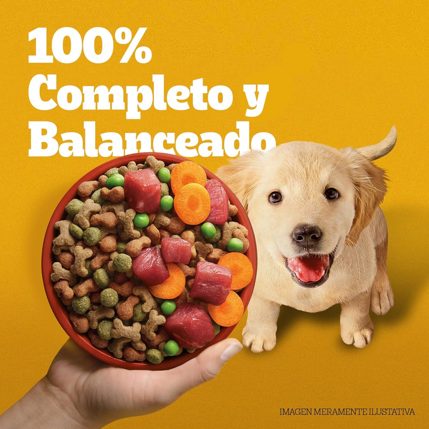 Pedigree - Alimento para Cachorros 20 kg, Etapa 2, con DHA, Prebióticos, Proteínas y Fibra