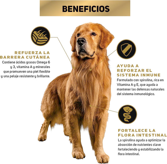 Purina Pro Plan Adulto Raza Mediana Sabor Pollo 9.5Kg