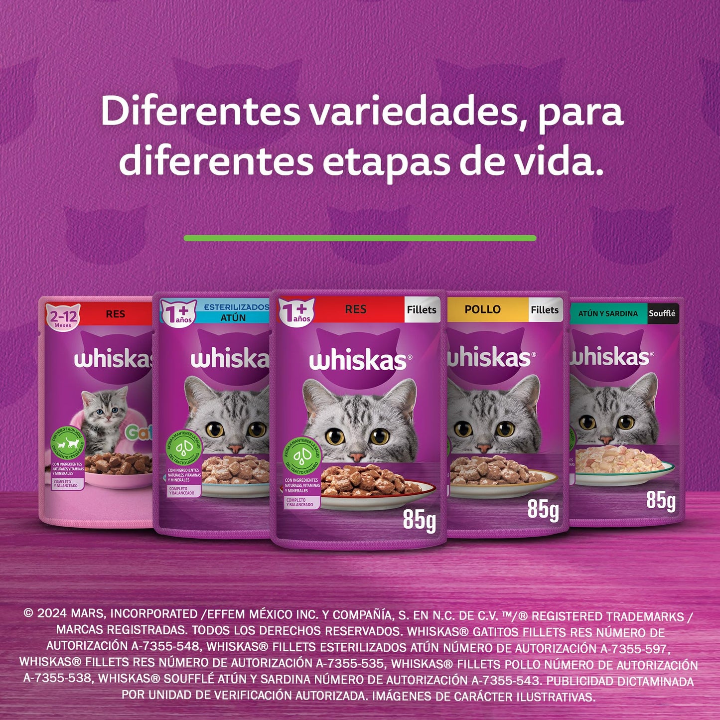 WHISKAS - Alimento Húmedo para Gatitos, Sabor Atún, con Proteína, Zinc, Vitamina E y Fibra, 24 Sobres para Gato, 85 gr. c/u