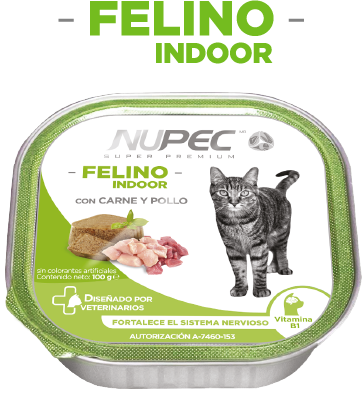 Nupec Felino Indoor
