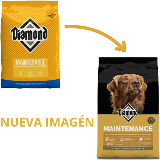Diamond Maintenance Adulto