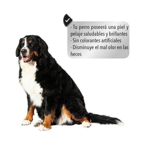 CrokiPet Adulto Alimento Seco para Perro