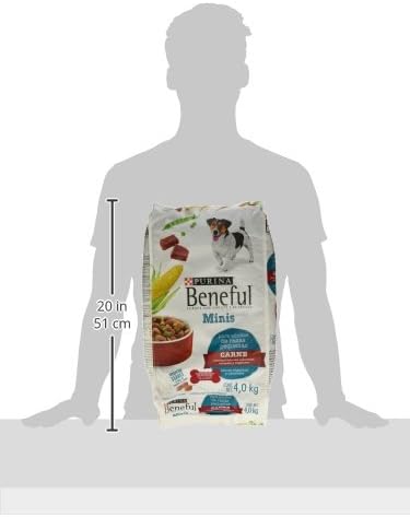 Purina Beneful Adulto Raza Minis Sabor Carne 4Kg