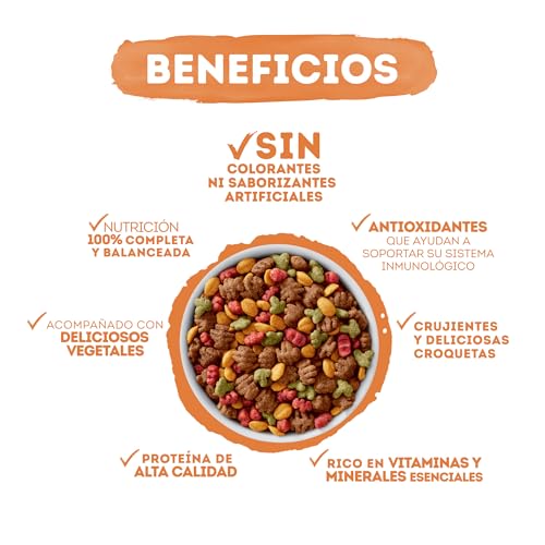 Purina Beneful Adulto Todos los tamaños Salud Radiante Sabor Salmón 10Kg