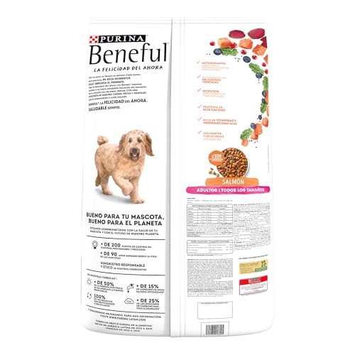 Purina Beneful Adulto Todos los tamaños Salud Radiante Sabor Salmón 10Kg