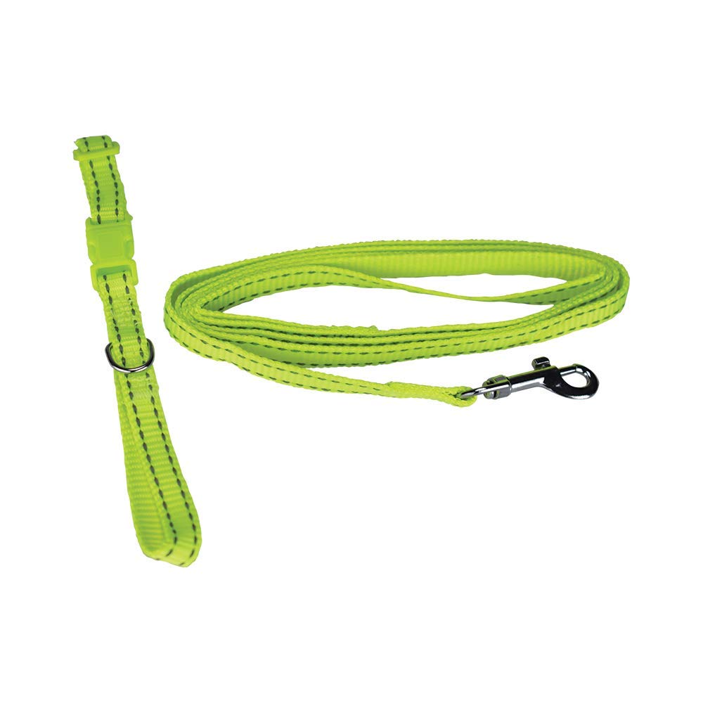 Fancy Pets Correa con Collar de Nylon para Perro con Bandas Reflejantes Tamaño Chico