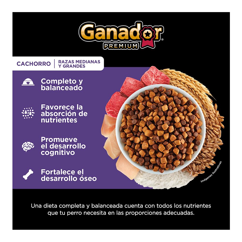 Ganador Premium Cachorro 20 kg, Razas Medianas y Grandes. El empaque puede variar