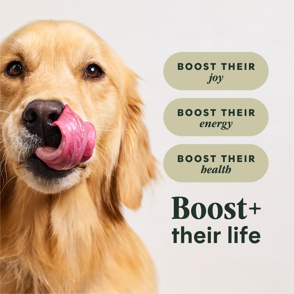 Instinct Raw Boost Croquetas para Perro, Receta de Cordero 9kg