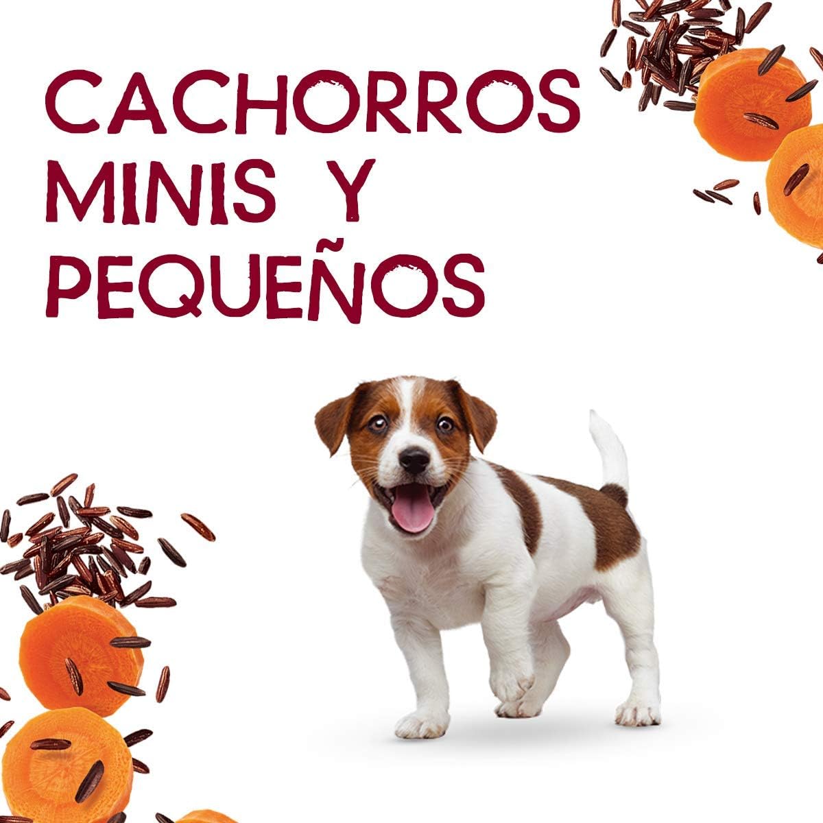 Purina Beneful Adulto Raza Minis y Pequeñas Sabor Carne y Arroz 20pack de 100g