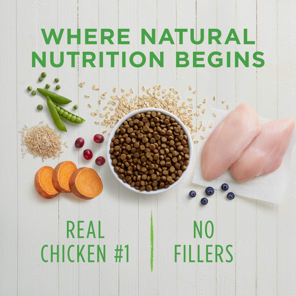 Instinct Be Natural Alimento para Perro, Receta de Salmón 10.8kg