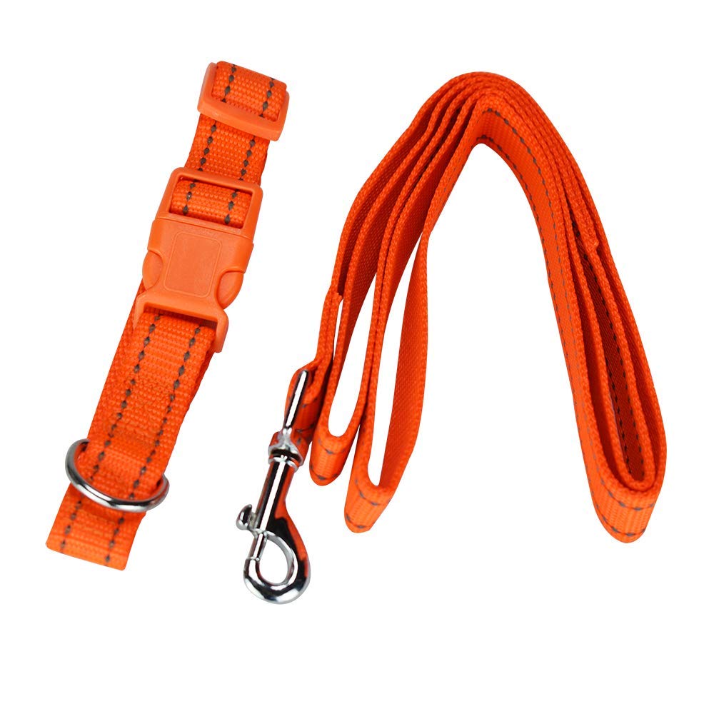 Fancy Pets Correa con Collar de Nylon para Perro con Bandas Reflejantes Tamaño Chico