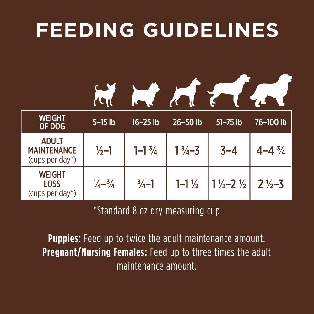 Instinct Be Natural Alimento para Perro Receta Cordero 10.8kg