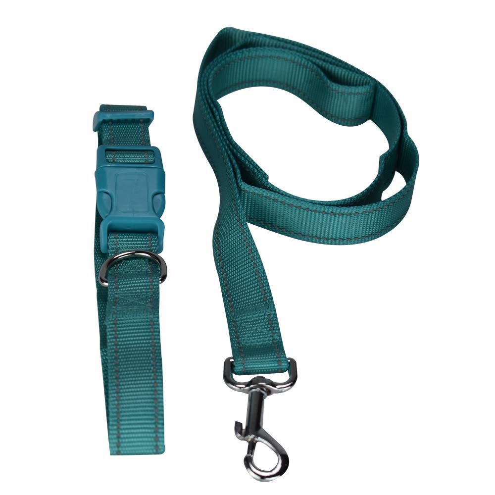 Fancy Pets Correa con Collar de Nylon para Perro con Bandas Reflejantes Tamaño Chico
