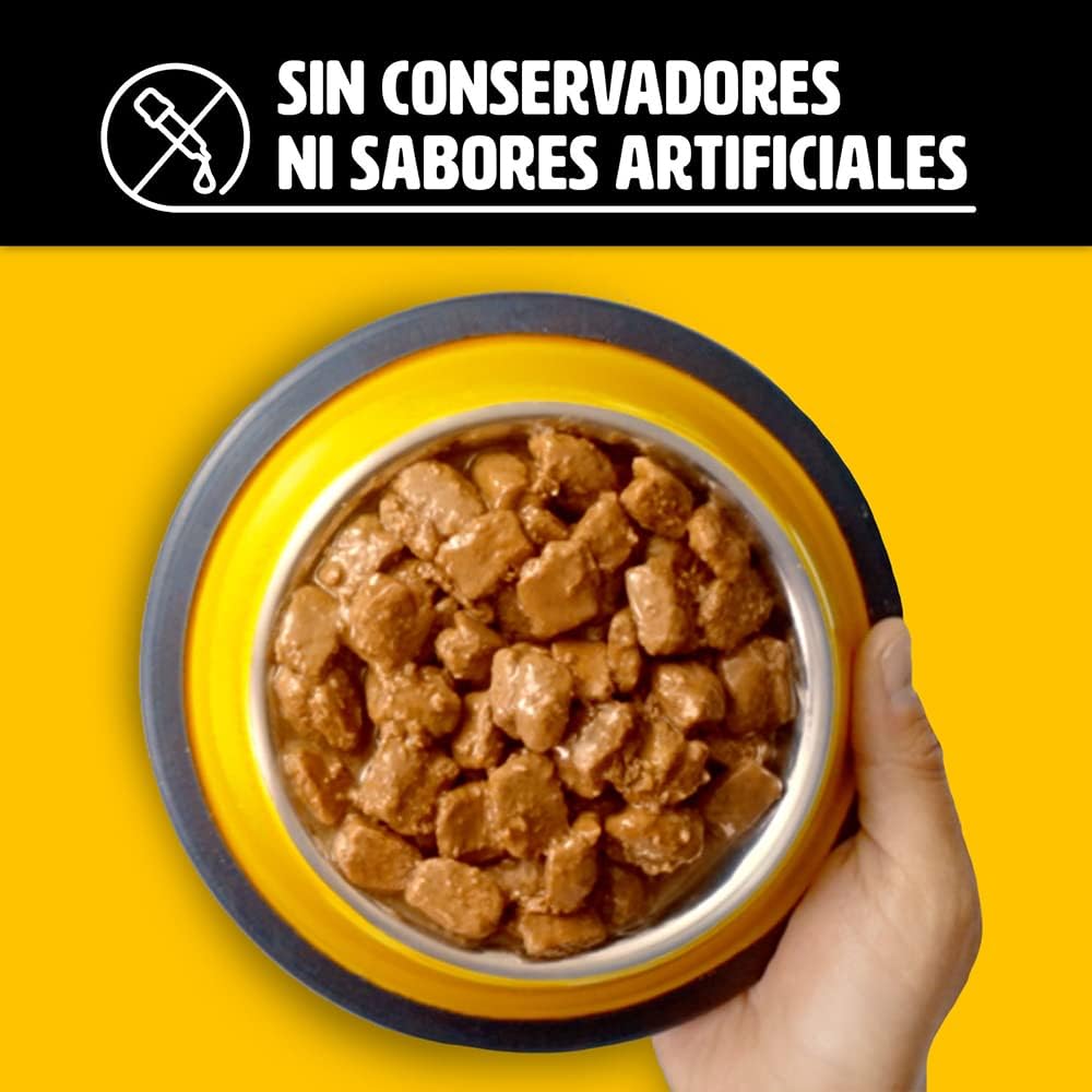 Pedigree - High Protein Alimento para Perro Adulto, Sabor Res y Pollo, 24 Sobres, 85g c/u, con Proteína, Antioxidantes y Vitamina E