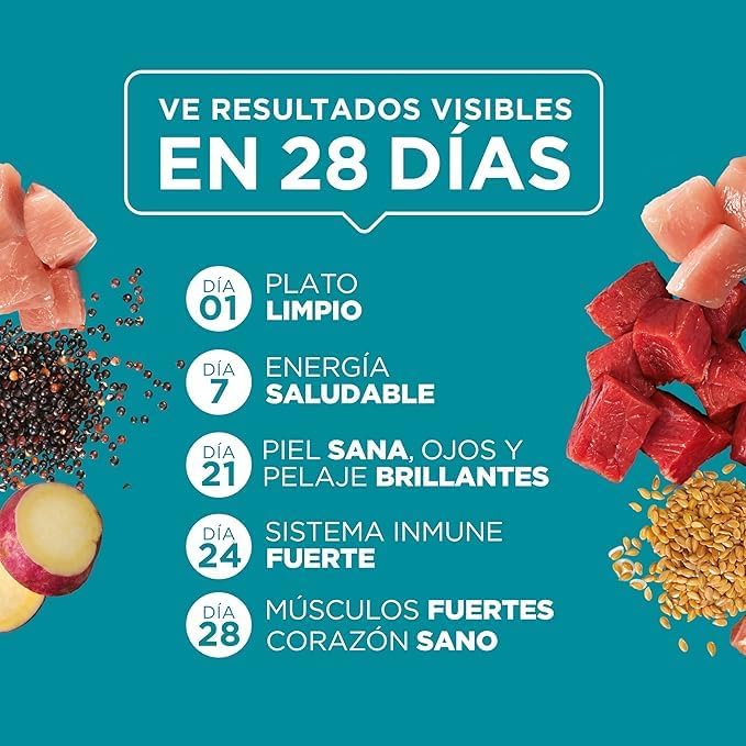 Purina One Gato Adulto Todos los Tamaños Super Nutrientes Sabor Carne 24pack de 85g