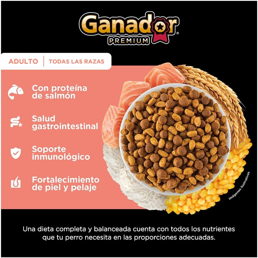 Alimento seco Perro Ganador Premium Salmon 20k