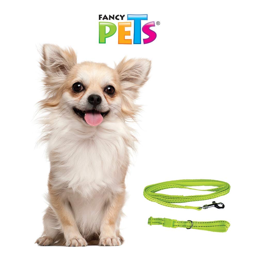 Fancy Pets Correa con Collar de Nylon para Perro con Bandas Reflejantes Tamaño Chico