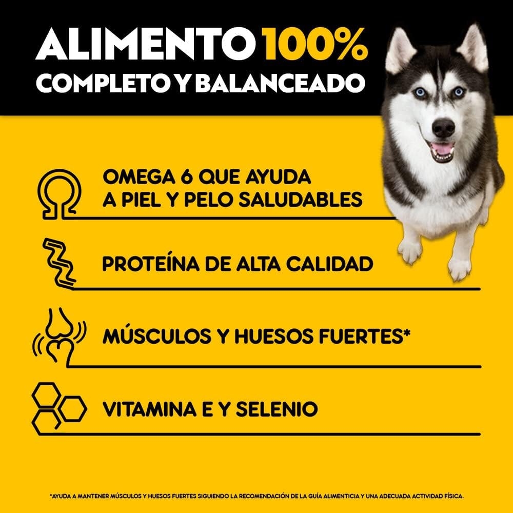 Pedigree - Sobres para Perro High Protein, Adultos Sabor Pollo y Cerdo, Omega 6, Zinc, 24 Sobres 85g c/u