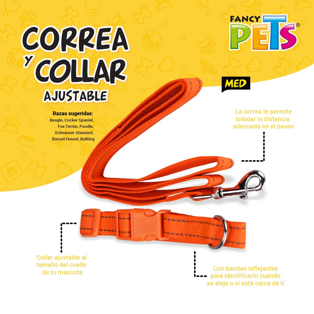 Fancy Pets Correa con Collar de Nylon para Perro con Bandas Reflejantes Tamaño Chico