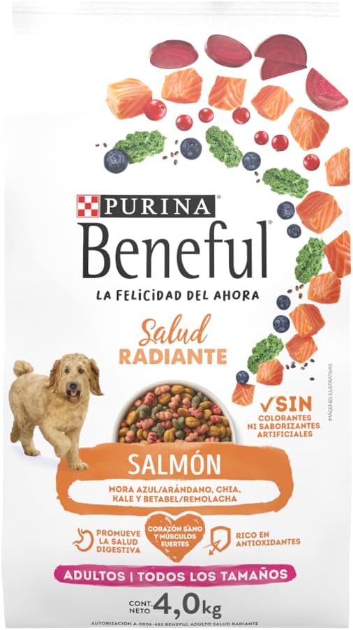 Beneful Purina Adulto Salud Radiante Salmón 4Kg