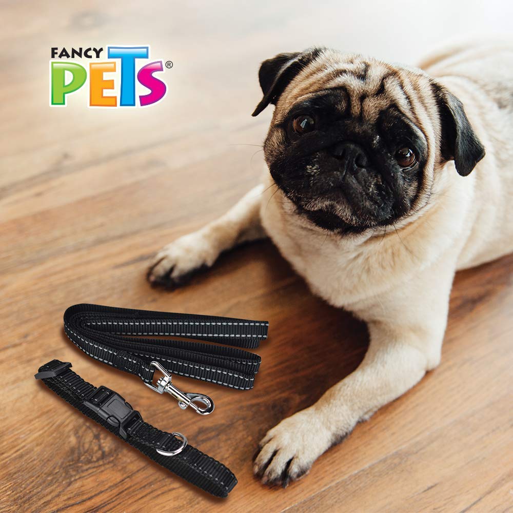 Fancy Pets Correa con Collar de Nylon para Perro con Bandas Reflejantes Tamaño Chico
