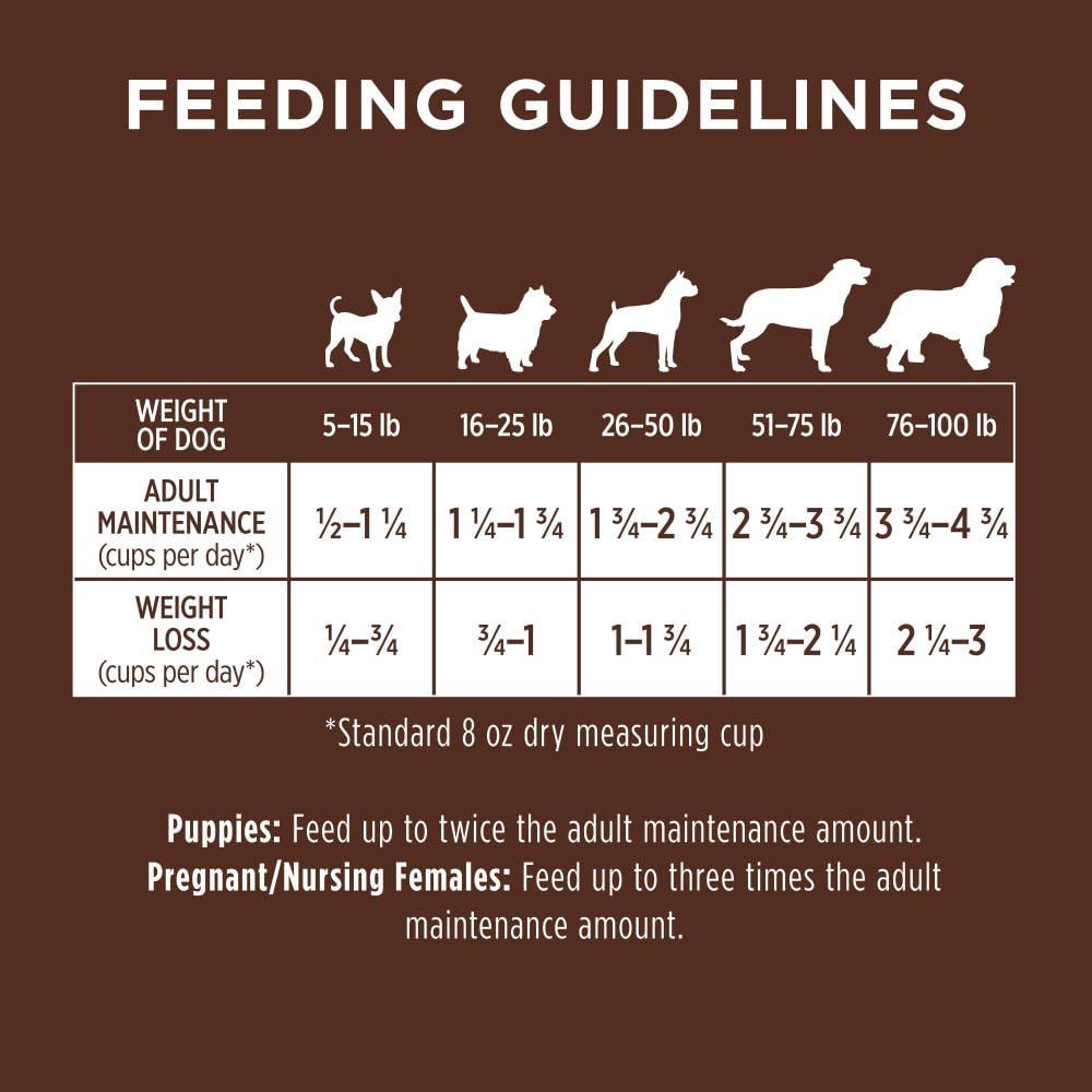 Instinct Be Natural Alimento para Perro Receta Cordero 10.8kg