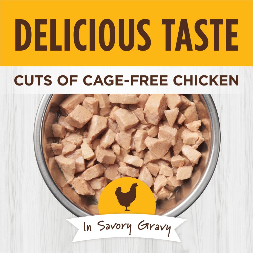 Instinct Healthy Cravings para Gato, Receta de Pollo 24 pack