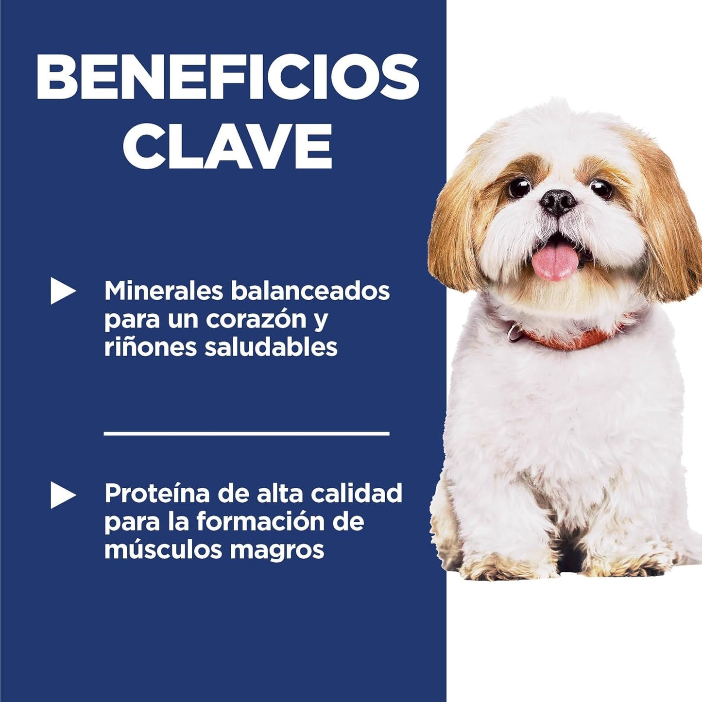 Hill's Science Diet Small Bites, Croquetas para Perro Senior 7+ Bocados Pequeños Sabor Pollo Y Arroz Integral 2Kg
