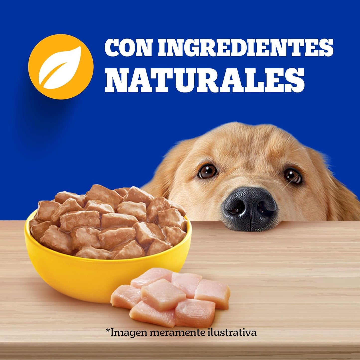 Pedigree - Alimento Húmedo para Perro Adulto, Pollo En Filetes, 24 Sobres, con Proteína, Antioxidantes y Vitamina E