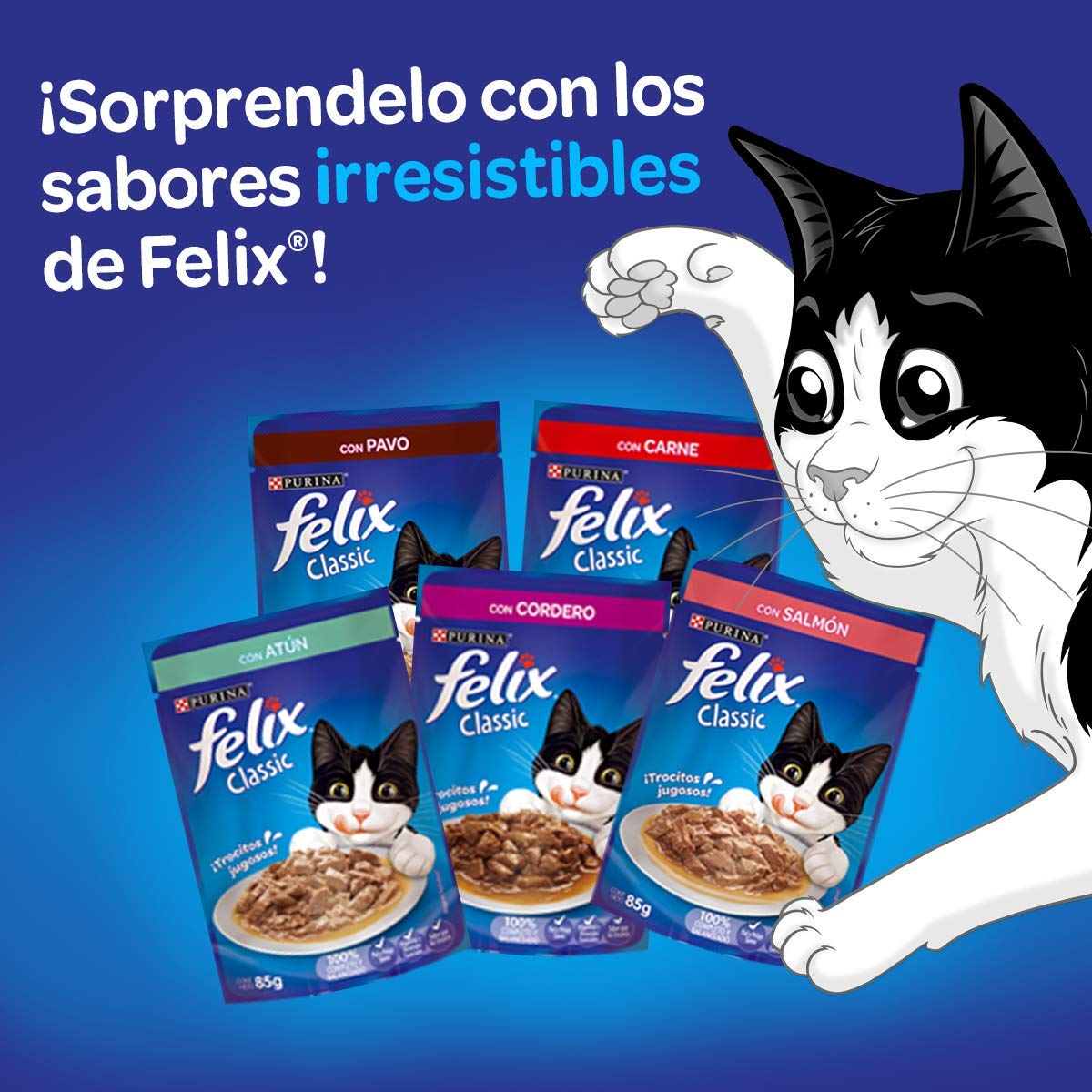 Purina Felix Adulto Todos los Tamaños Sabor Carne 24pack de 85g