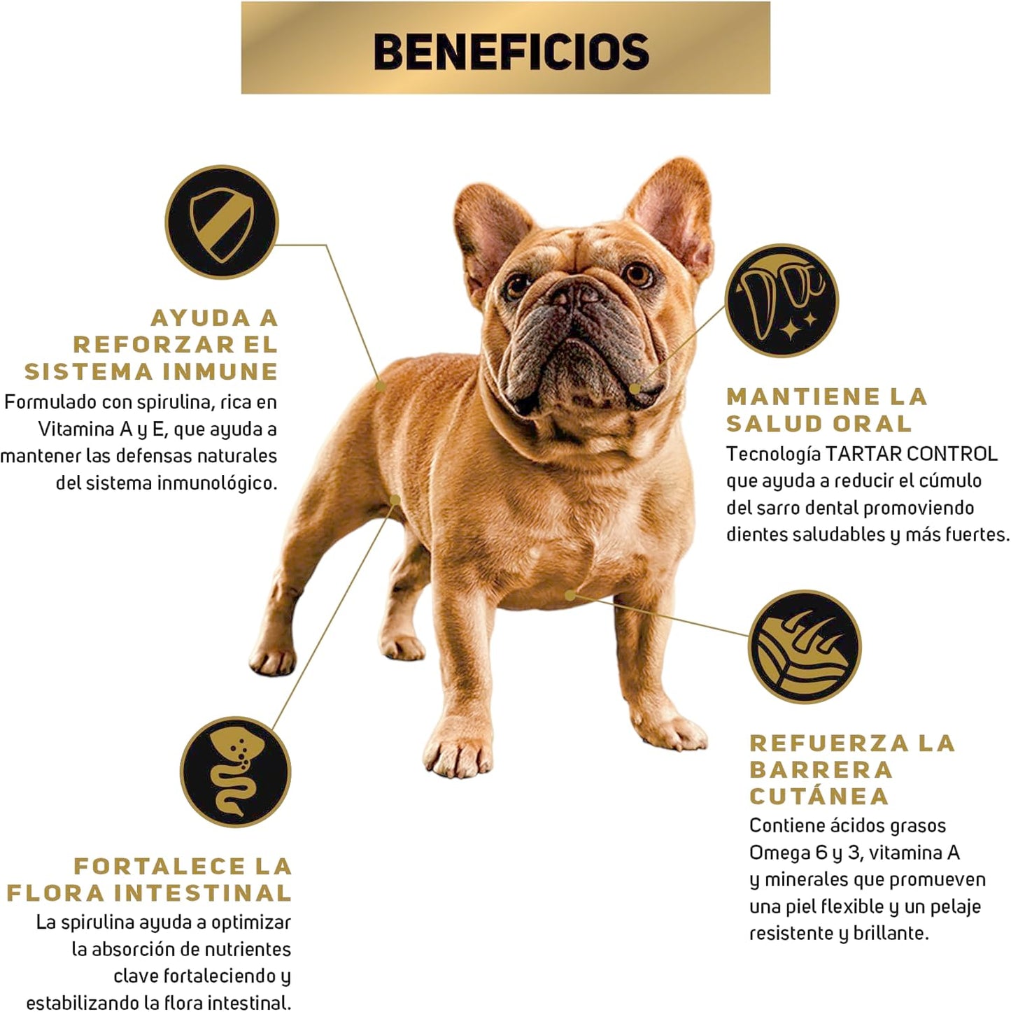Purina Pro Plan Adulto Raza Pequeña Sabor Pollo 9.5Kg