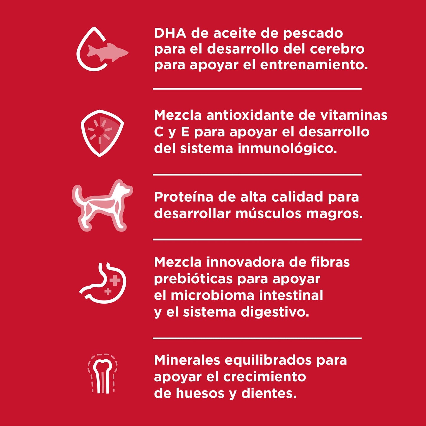 Hill's Science Diet, Alimento para Perro Puppy (Cachorro) Raza Grande, Seco (bulto) 7kg