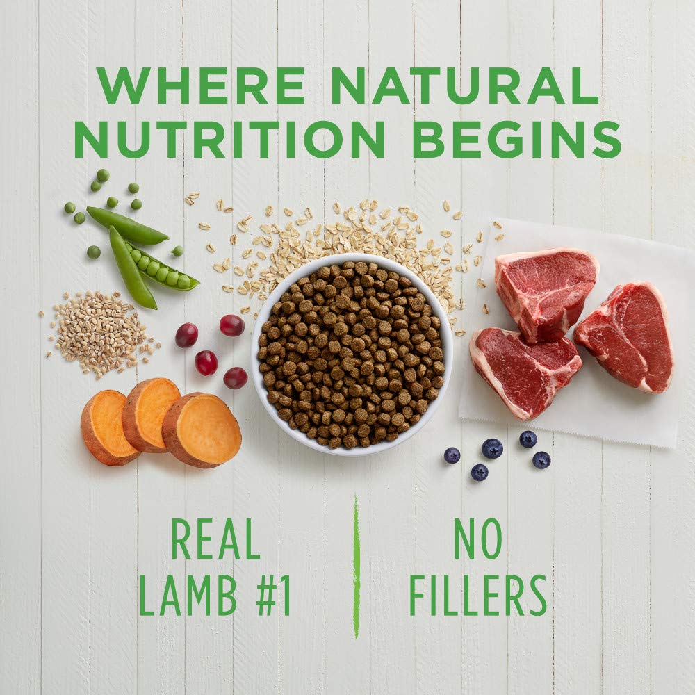 Instinct Be Natural Alimento para Perro, Receta de Salmón 10.8kg