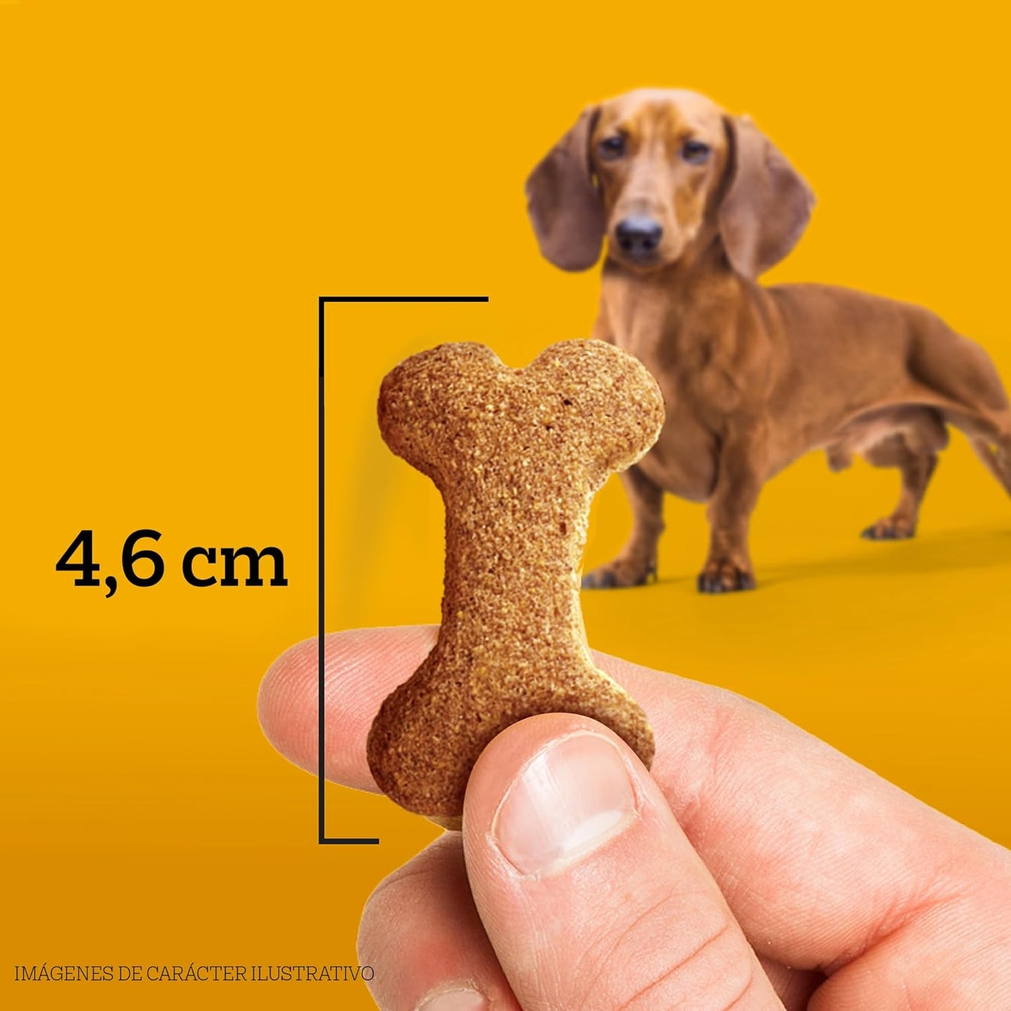 Pedigree - Snack para Perros Adultos Biscrock, Omega 3, Adicionado con Calcio, Sin Colorantes, Ideal para Entrenamiento, 225g