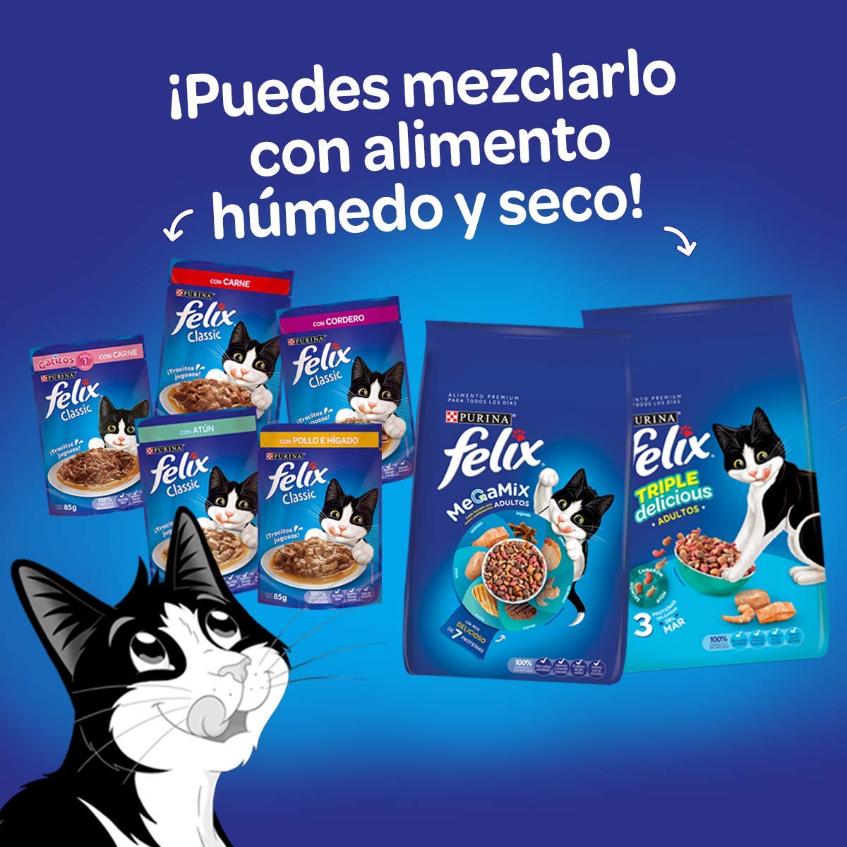 Purina Felix Adulto Todos los Tamaños Sabor Carne 24pack de 85g