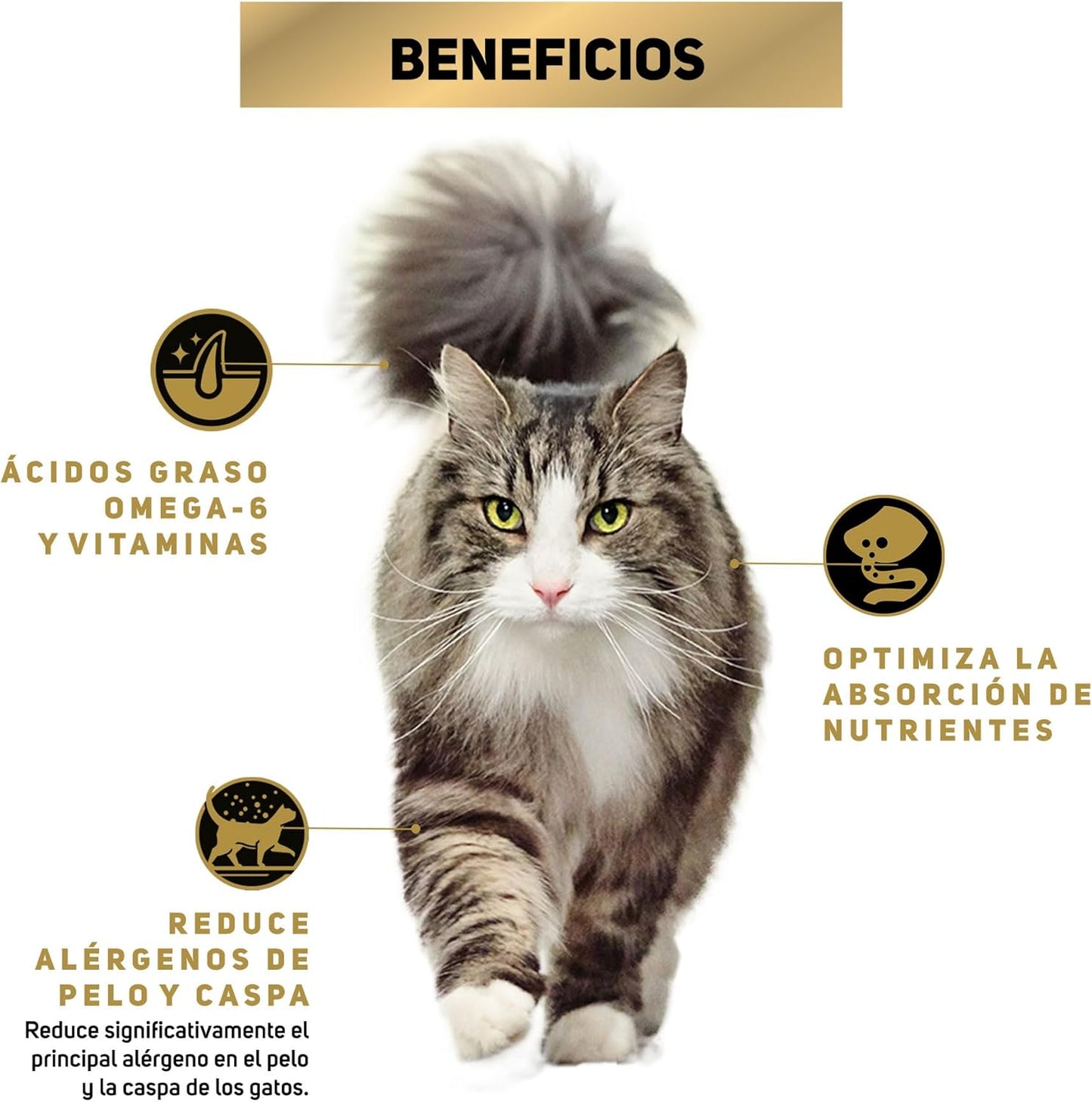 Purina Pro Plan Gato Adulto Live Clear Todos los Tamaños Sabor Salmón y Arroz 3.18Kg