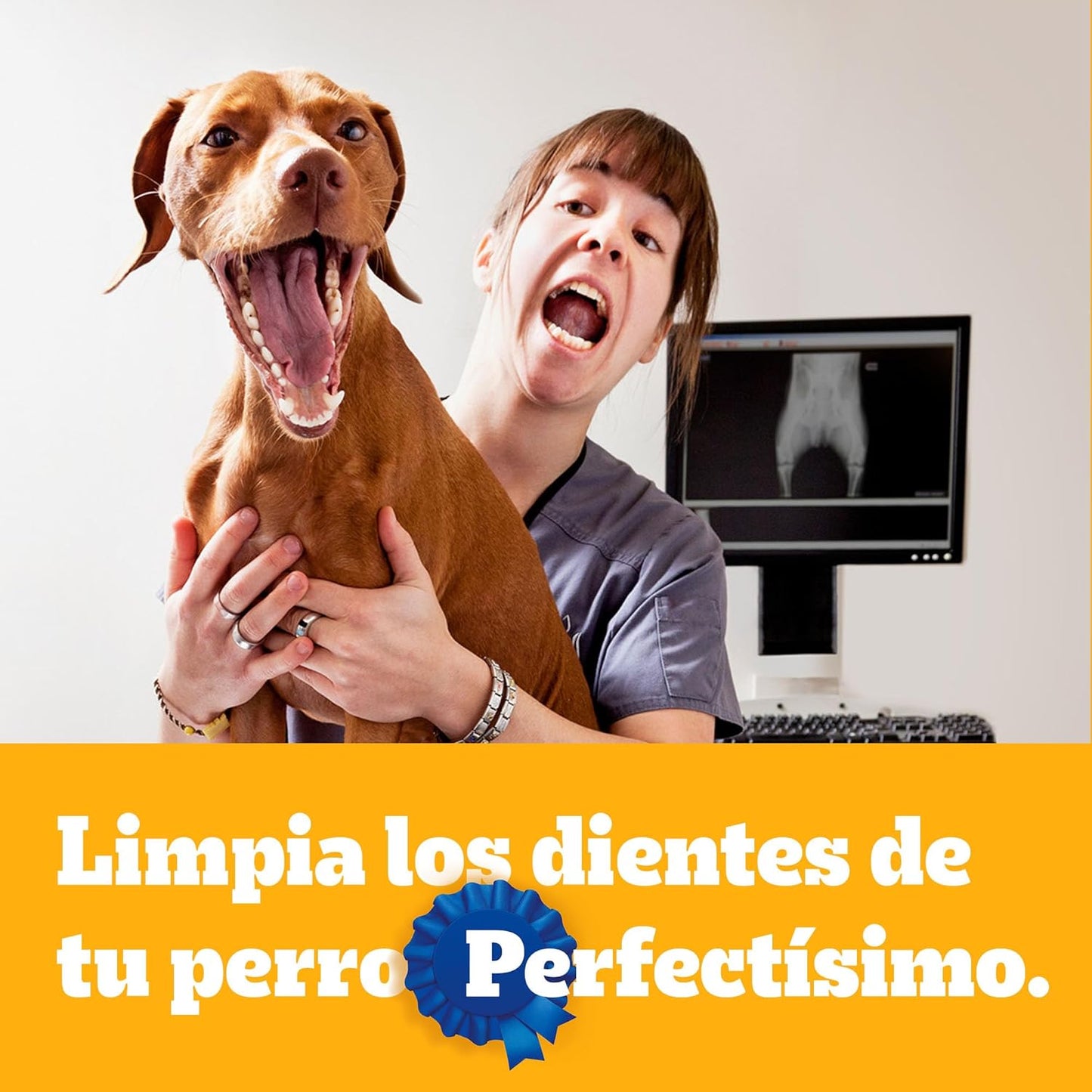 PEDIGREE - Snack para Perros Adultos Dentastix, Razas Pequeñas, Cuidado Oral, Pack de 30, 15 gr. c/u.