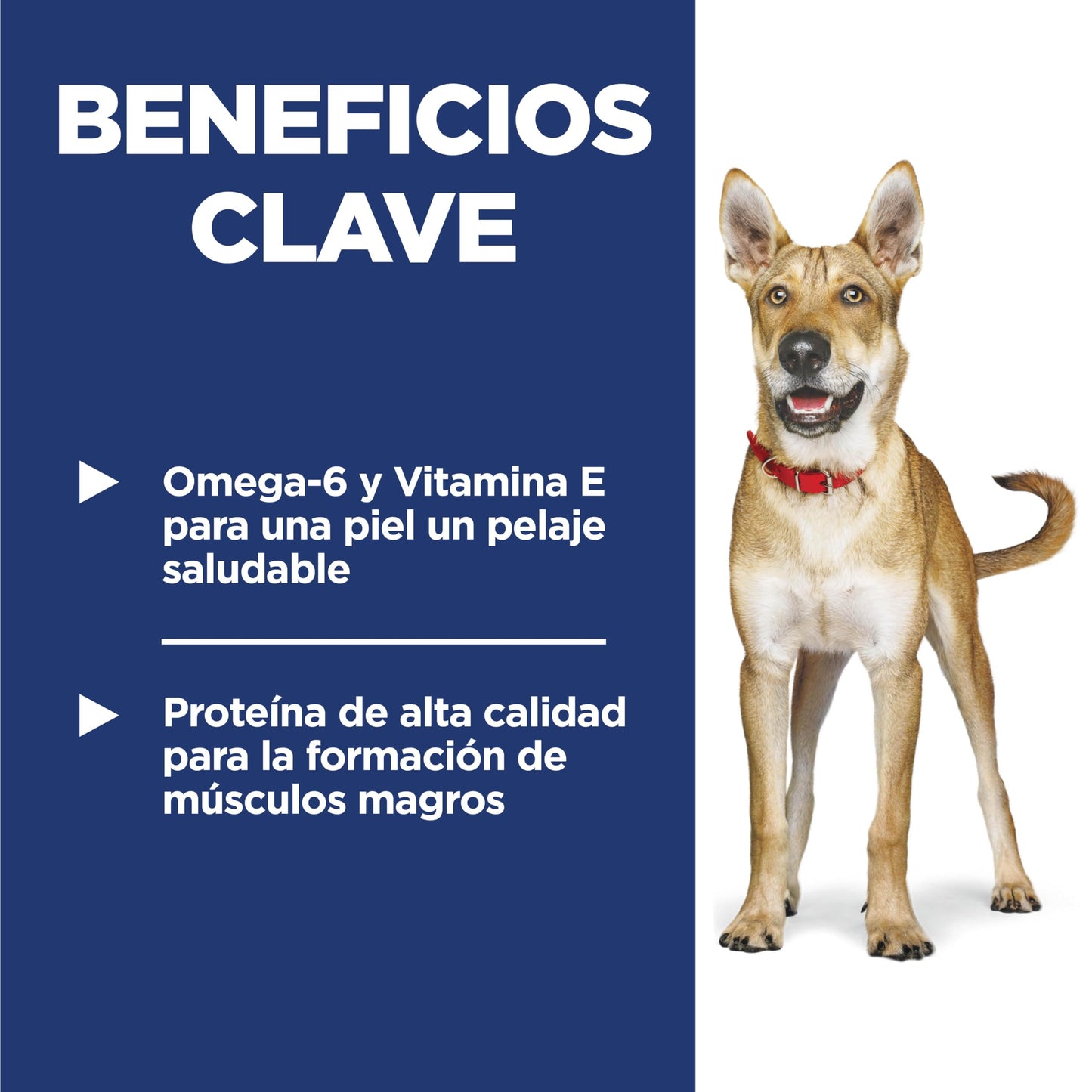 Hill's Science Diet, Croquetas para Perro Adulto Sabor Cordero 15Kg