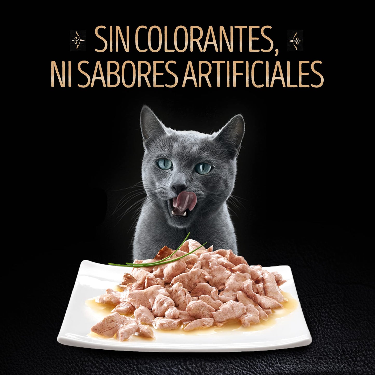Sheba - Alimento Húmedo para Gato Adulto, Sabor Filetes De Salmón Marinado 85g c/u. Paquete de 24 Unidades, Sin Colorantes ni Sabores Artificiales