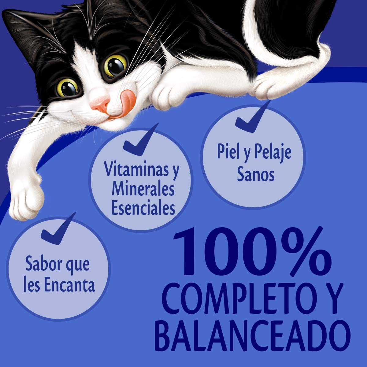 Purina Felix Adulto Todos los Tamaños Sabor Carne 24pack de 85g