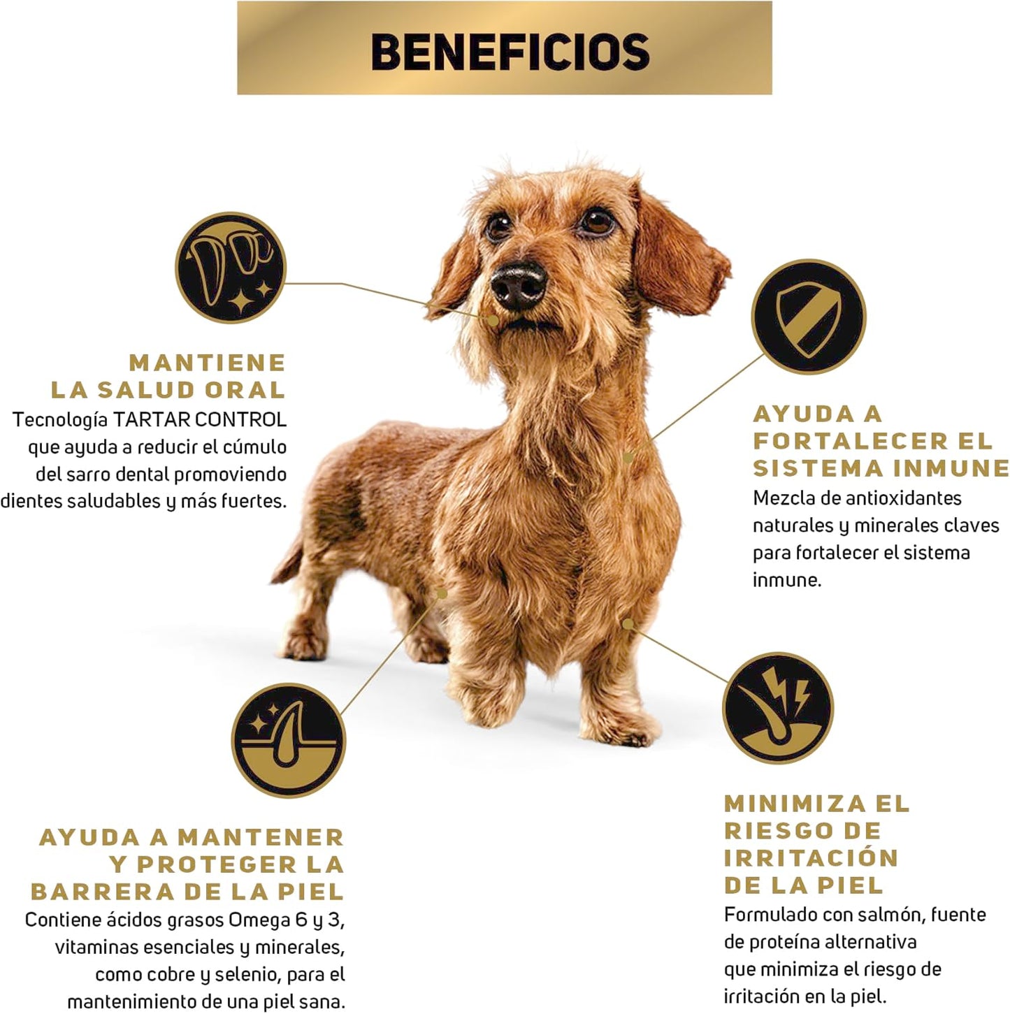 Pro Plan Sensitive Skin Adulto Razas Pequeñas 9.5 Kg