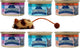 Blue Buffalo Wilderness Wild Delights Grain Free Natural Meaty Morsels Alimento para gatos, 3 sabores 6 latas de muestra con paquete de juguete, (2) cada uno: pollo Turquía, pollo salmón y pollo trucha (3 onzas)