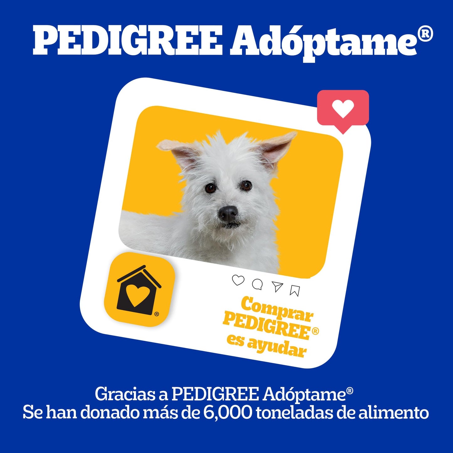 Pedigree - Croquetas para Perro 4 kg, con Res y Vegetales, Razas Pequeñas, con Proteína, Fibra y Antioxidantes
