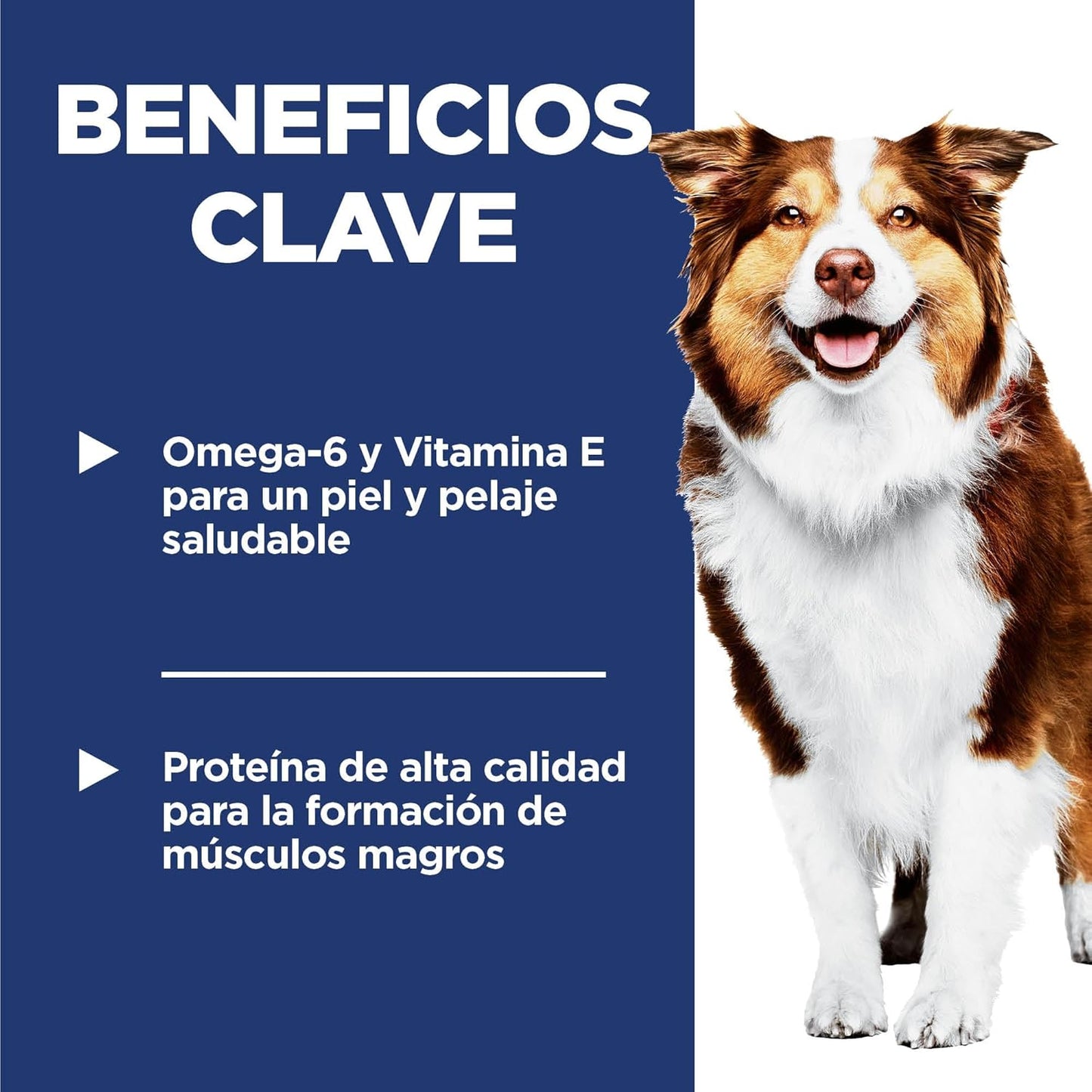 Hill's Science Diet Adult 7+, Croquetas para Perro Senior 7+, Sabor Pollo Y Arroz Integral 12Kg