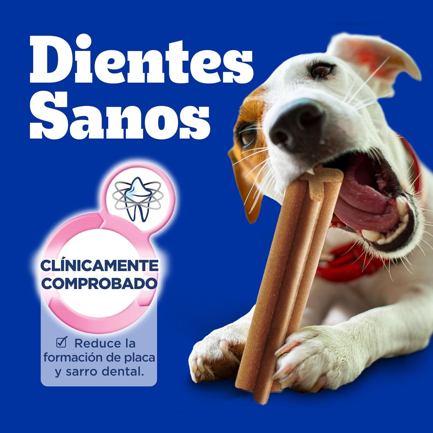 PEDIGREE - Snack para Perros Adultos Dentastix, Razas Pequeñas, Cuidado Oral, Pack de 30, 15 gr. c/u.