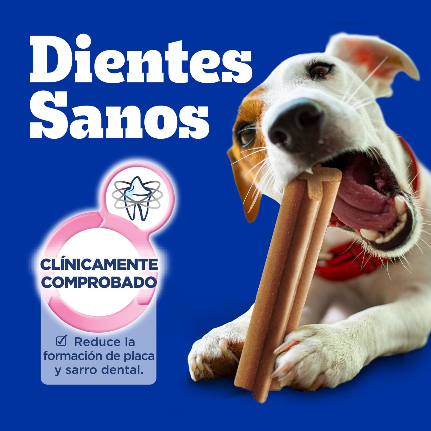 Pedigree - DENTASTIX, Snack para Perros Adultos, 7 Piezas, Cuidado Oral, Limpieza Dental, Combate el Sarro