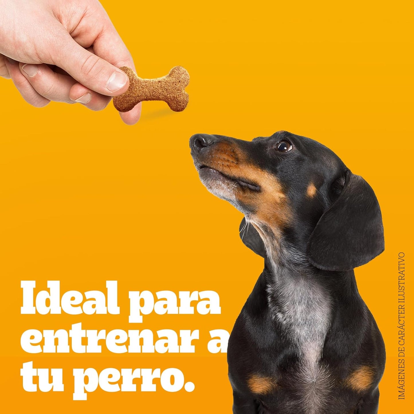 Pedigree - Snack para Perros Adultos Biscrock, Omega 3, Adicionado con Calcio, Sin Colorantes, Ideal para Entrenamiento, 225g